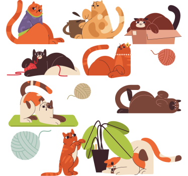 Naklejka na szybę bawiące się koty - TenStickers