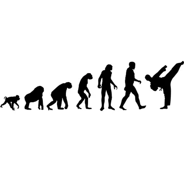 Dekoracja ścienna Ewolucja karate - TenStickers