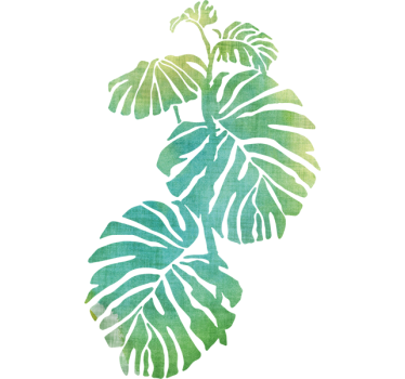 Naklejki na ścianę do salonu monstera zielone liście - TenStickers