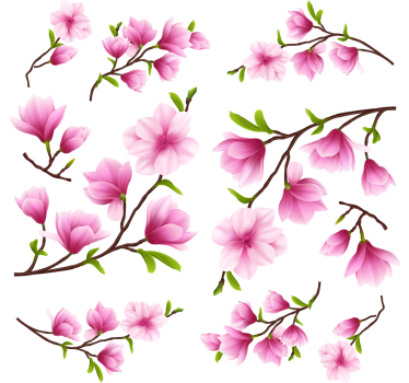 Naklejka na szyby kolorowe kwiaty magnolii - TenStickers