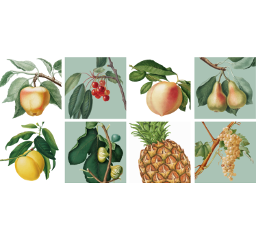 Naklejka do kuchni owoce na drzewach - TenStickers