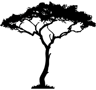 Naklejka na ścianę sylwetka symbol Afryka baobab - TenStickers