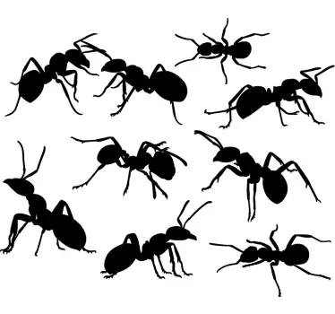 Naklejka na ścianę do sypialni mrówki insekty zwierzęta - TenStickers