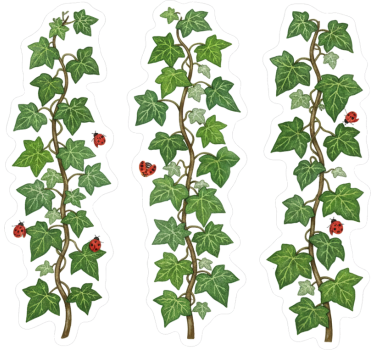 Naklejka na szyby zestaw winorośli ogrodowych - TenStickers