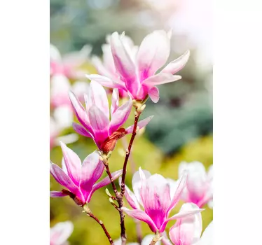 Naklejka na szyby kwiat magnolii - TenStickers