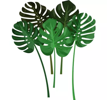 Naklejka na ścianę do salonu liście Monstera - TenStickers