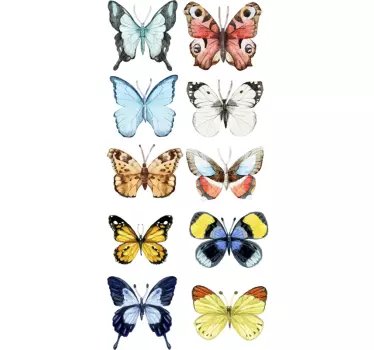 Naklejka kolekcja motyli - TenStickers