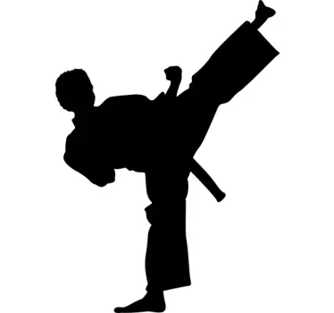 Naklejka karateka - TenStickers