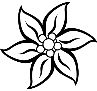 Szarotka Alpejska naklejka Ścienna - TenStickers
