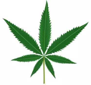 Naklejka dekoracyjna marihuana - TenStickers