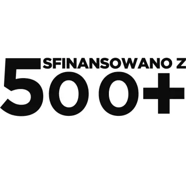 Naklejka na samochód Sfinansowano z 500+ - TenStickers