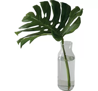 Naklejka na ścianę rośliny liść monstera w słoiku - TenStickers