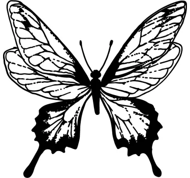 Naklejka ścienna motyl ilustracja - TenStickers