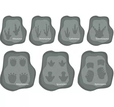 Naklejka Ślady dinozaurów - TenStickers