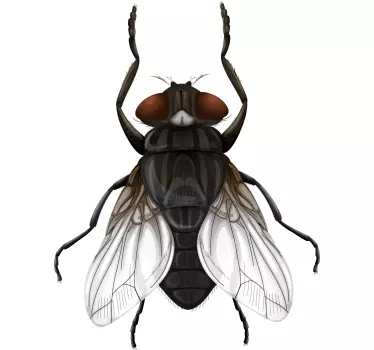 Naklejka na ścianę insekty mucha insekt - TenStickers