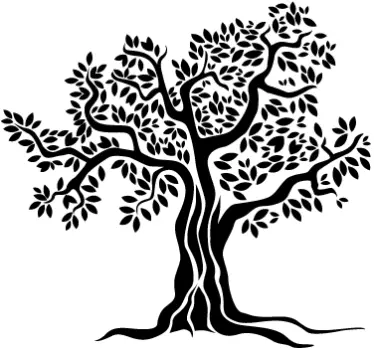 Old Olive Tree Monochrome Wall Sticker - TenStickers