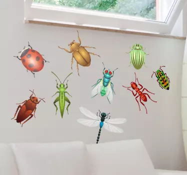 Naklejka kolekcja owadów - TenStickers