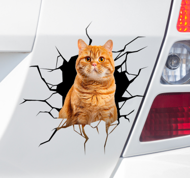 Naklejka na samochód kot w norze - TenStickers