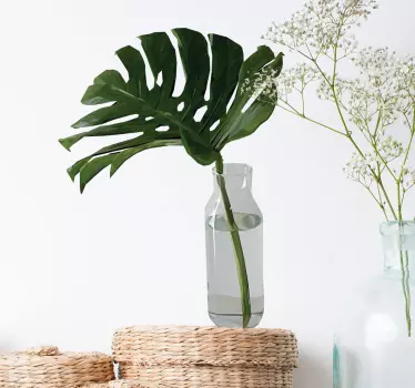Naklejka na ścianę rośliny liść monstera w słoiku - TenStickers