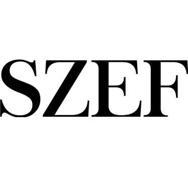 Koszulka dla taty i syna Szef i mini szef - TenStickers