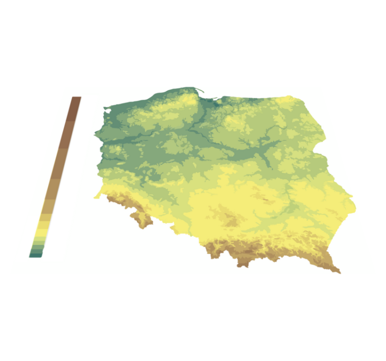 Dywan winylowy Hipsometryczna mapa Polski - TenStickers