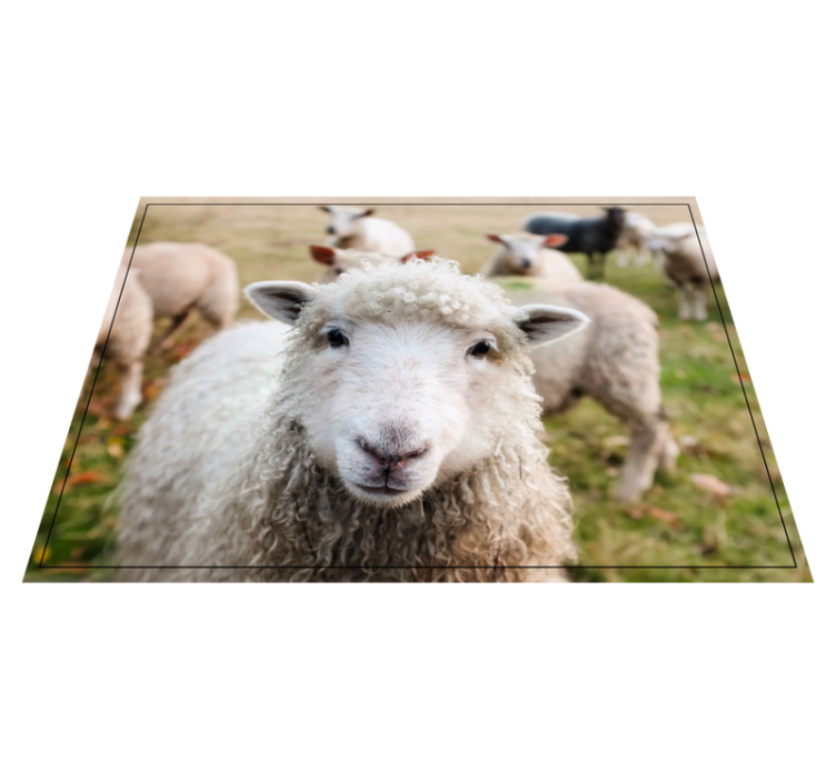 Dywan winylowy zwierzęta kręcona twarz owczarka - TenStickers