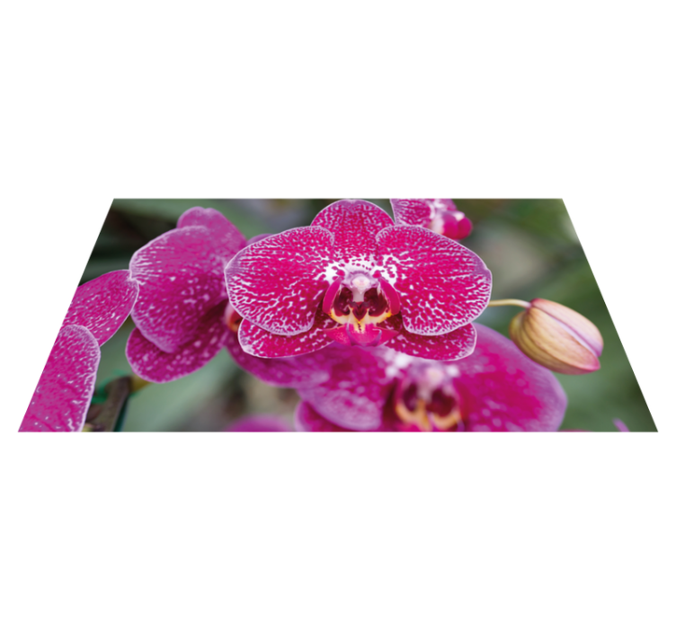 Dywan winylowy w kwiaty i rośliny żywe orchidee w kwiatach - TenStickers
