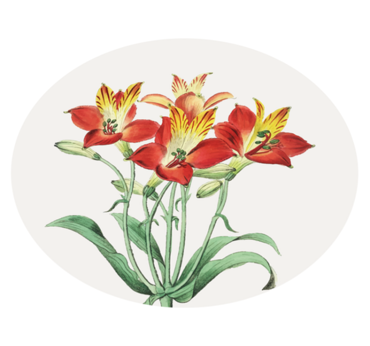 Dywan winylowy w kwiaty i rośliny czerwone kwiaty - TenStickers