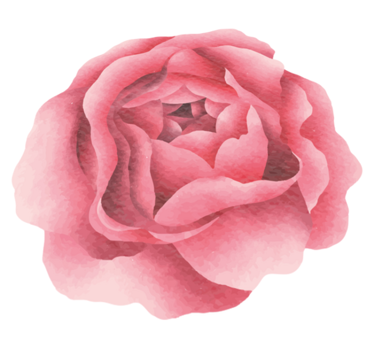 Dywan winylowy z różową różą - TenStickers