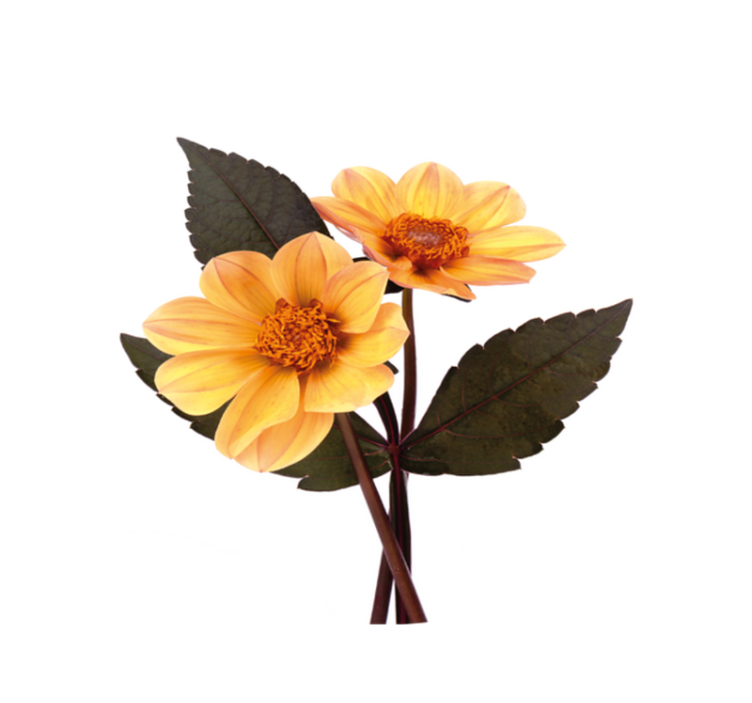 Okrągły dywan z żółtymi kwiatami i czarnymi liśćmi - TenStickers