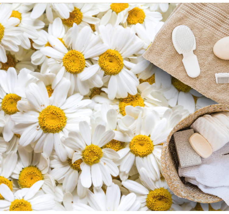 Daisy flowers image dywan kwiatowy - TenStickers