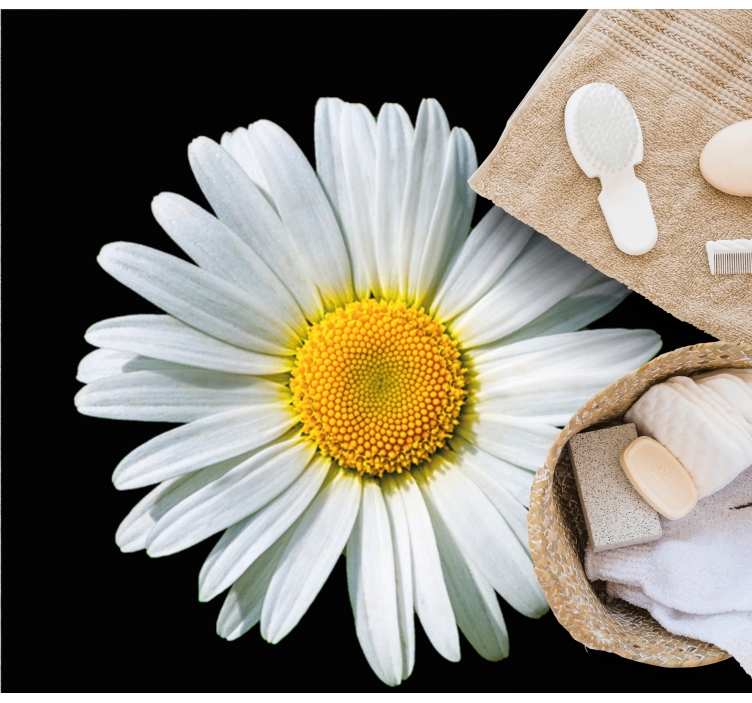 Dywan winylowy w kwiaty i rośliny kwiat stokrotki - TenStickers