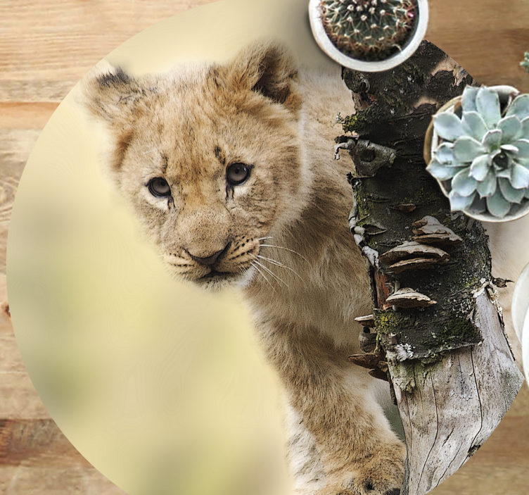 Dywan winylowy wzór zwierzęcy ciekawskie lwiątko - TenStickers