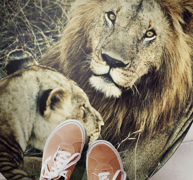 Dywan winylowy zwierzęta majestatyczna para lwów - TenStickers