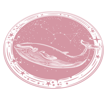 Dywan winylowy w gwiazdki krąg konstelacji wieloryba - TenStickers