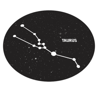 Dywany współczesne znak zodiaku byk - TenStickers