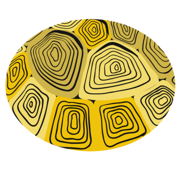 Dywan winylowy wzór geometryczny koncentryczna abstrakcja - TenStickers