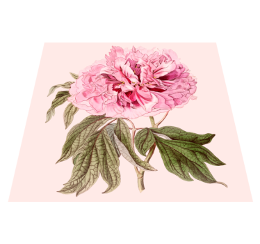 Dywan winylowy w kwiaty - TenStickers