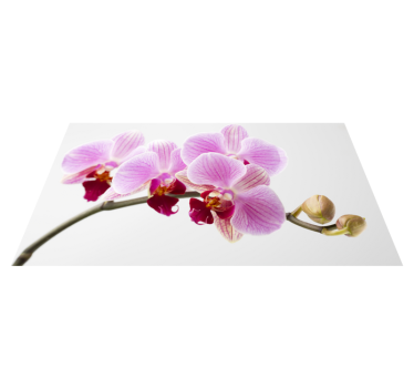 Dywan winylowy w kwiaty i rośliny różowy projekt orchidei - TenStickers