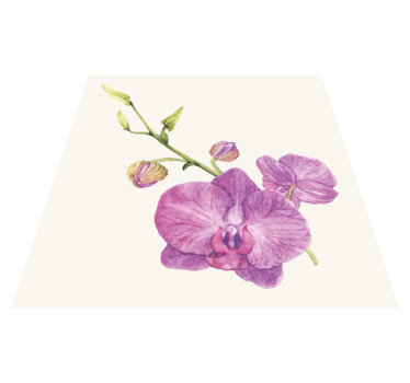 Ilustrowany kwiat orchidei białe tło dywan - TenStickers