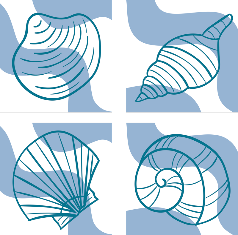 Dywan winylowy zwierzęta wzory muszli - TenStickers