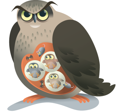Dywan winylowy zwierzęta matka sowa - TenStickers