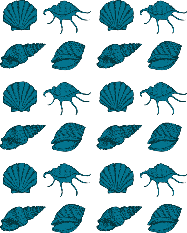 Dywan winylowy zwierzęta muszlowe - TenStickers