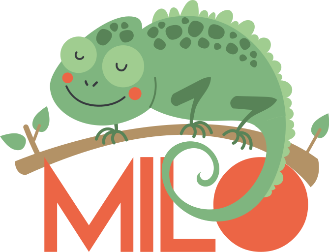 Dywan winylowy zwierzęta kameleon z imieniem - TenStickers