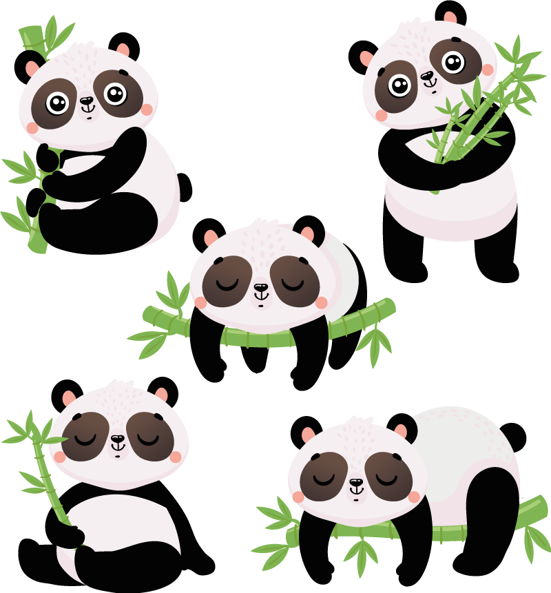 Dywan winylowy zwierzęta z uroczymi pandami - TenStickers
