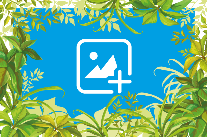 Dywan winylowy zwierzęta kot wśród zieleni - TenStickers