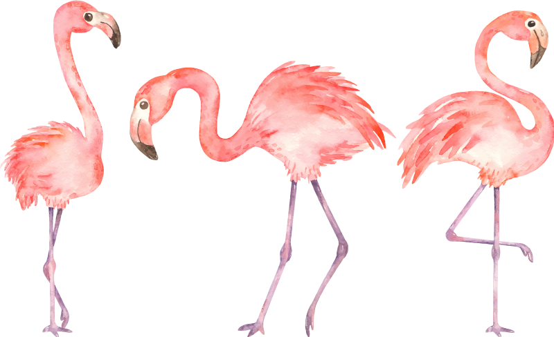 Dywan winylowy zwierzęta trio eleganckich flamingów - TenStickers
