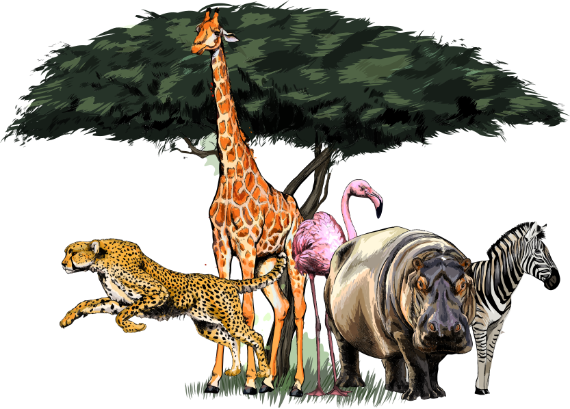 Dywan winylowy zwierzęta safari z rodziną żyraf - TenStickers