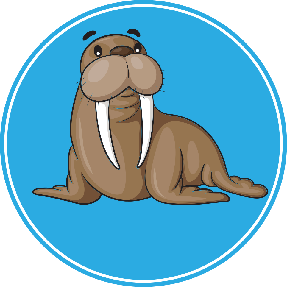 Dywan winylowy zwierzęta uroczy charakter foczki - TenStickers