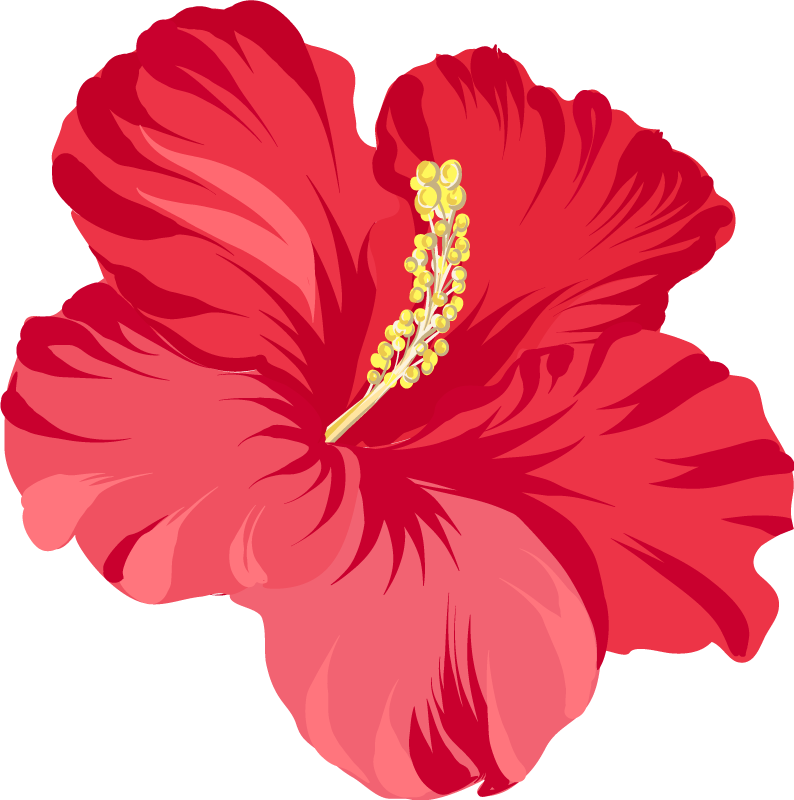 Dywan winylowy w kwiaty i rośliny z hibiskusem czerwonym - TenStickers